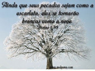 Quantas culpas e pecados tenho eu? 